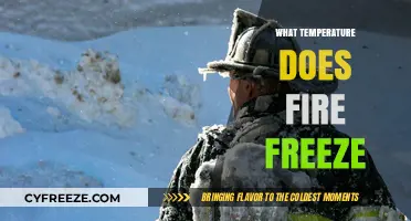Exploring the Chilling Point: At What Temperature Does Fire Freeze?