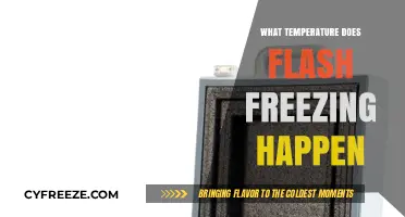 Flash Freezing Explained: The Exact Temperature for Rapid Food Preservation
