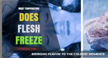 At What Temperature Does Human Flesh Freeze and How Quickly?