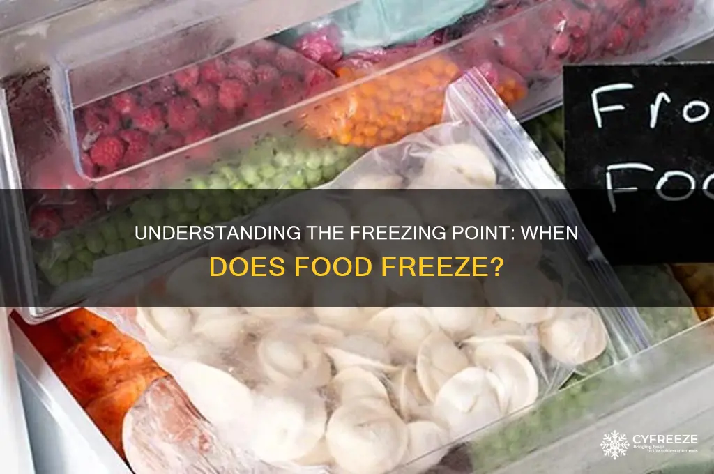 what temperature does food freeze