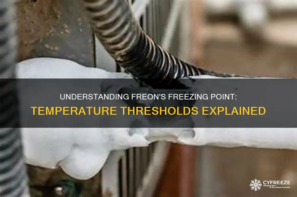 what temperature does freon freeze