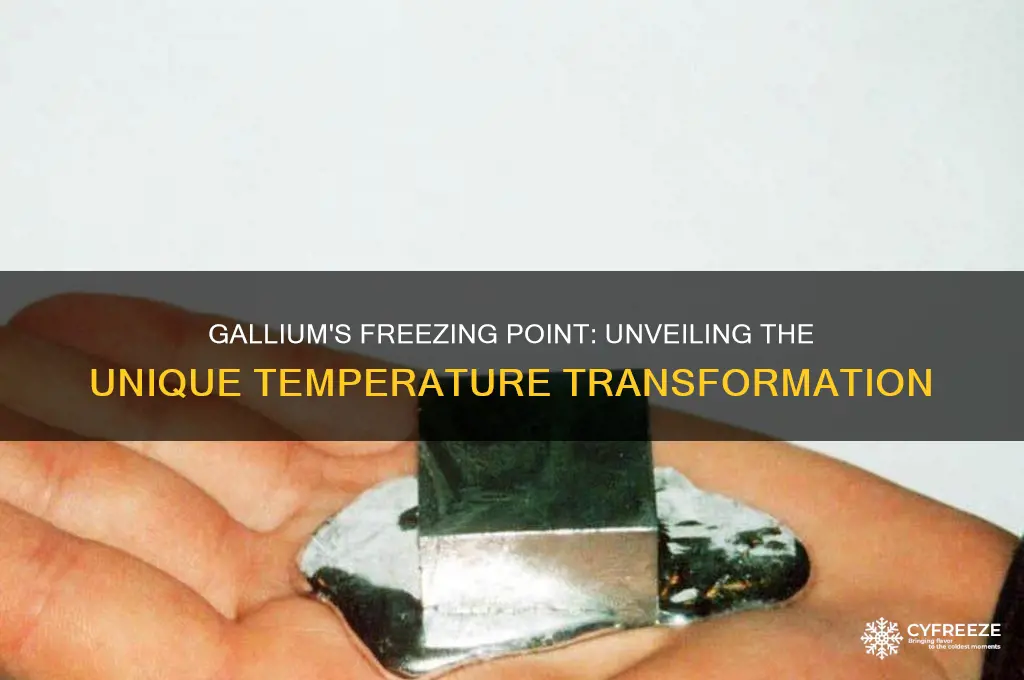 what temperature does gallium freeze