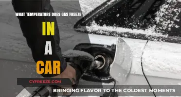 Understanding Gas Freezing Points in Vehicles: Temperature Thresholds Explained