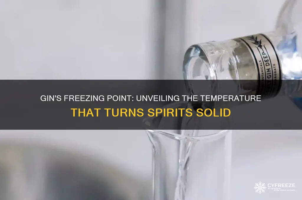what temperature does gin freeze