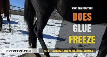 At What Temperature Does Glue Freeze? A Comprehensive Guide