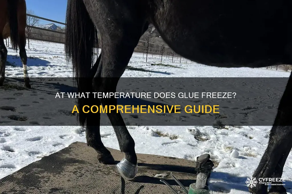 what temperature does glue freeze