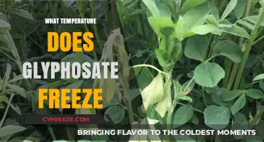 Glyphosate Freezing Point: Understanding Temperature Thresholds for Storage
