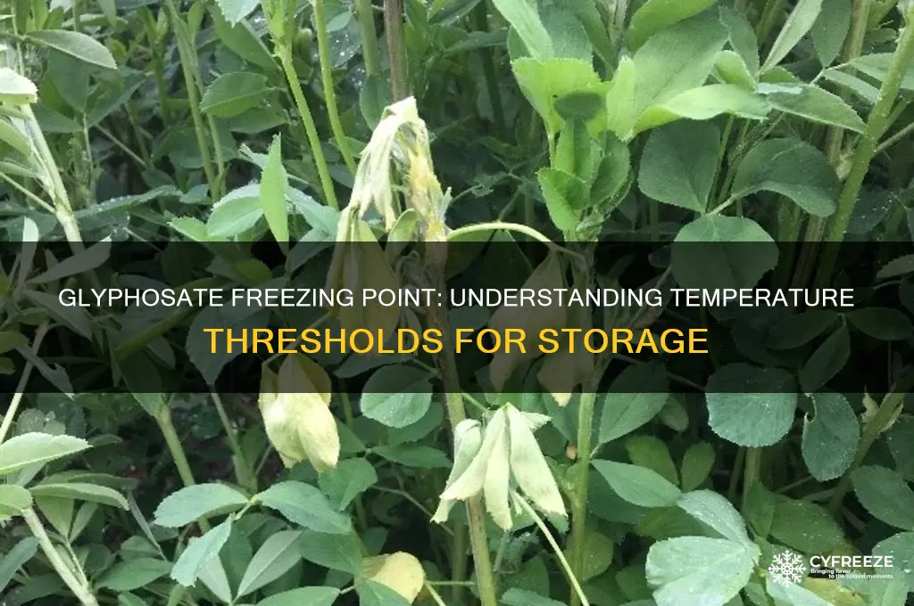 what temperature does glyphosate freeze