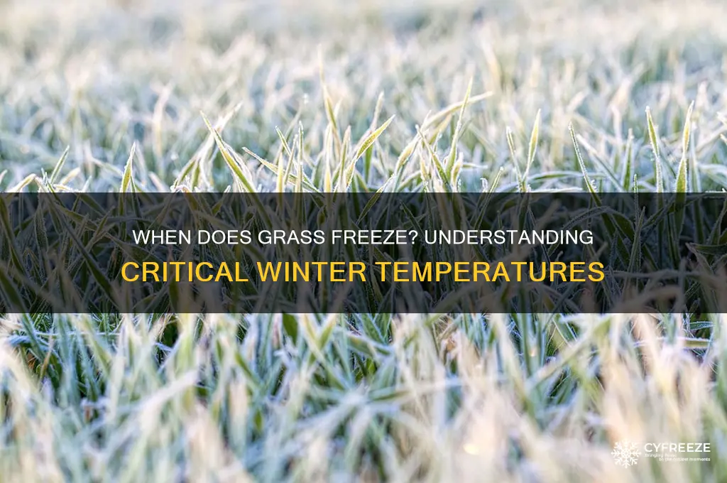 what temperature does grass freeze