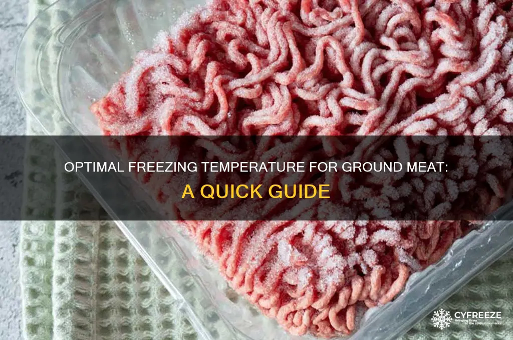 what temperature does ground meat need to be freeze