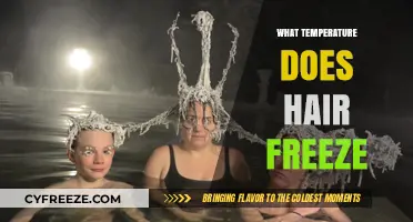 Does Hair Freeze? Exploring the Chilling Temperature Threshold for Hair