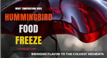 Prevent Hummingbird Food Freezing: Ideal Temperature Tips for Feeders