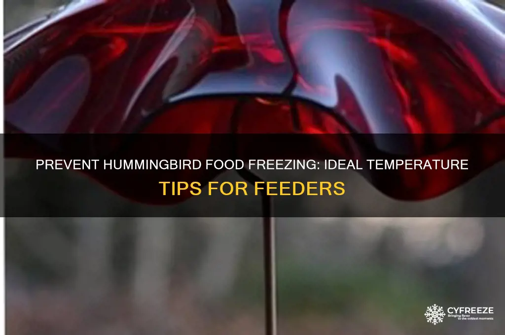 what temperature does hummingbird food freeze