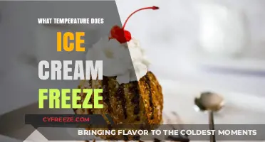 Perfect Ice Cream Freezing: Ideal Temperature for Creamy Delight