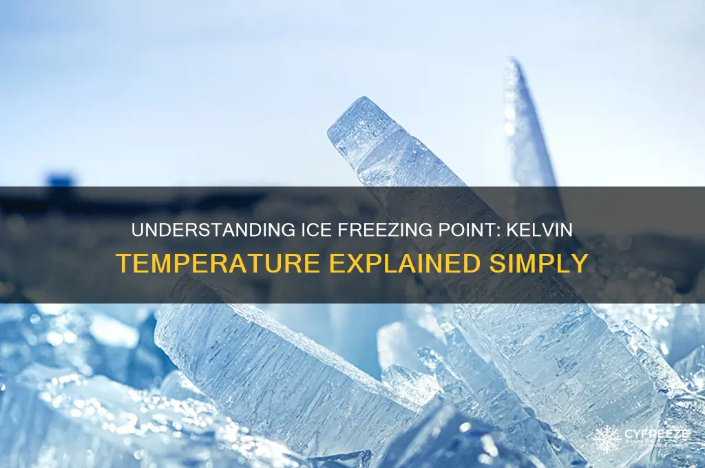 what temperature does ice freeze in kelvin