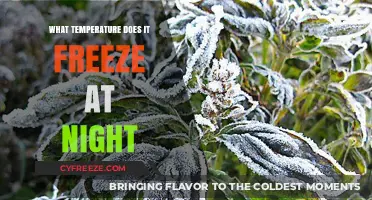 Nighttime Freeze: Understanding When and Why Temperatures Drop Below Zero