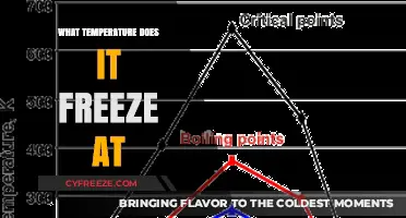 Understanding Freezing: The Exact Temperature Water Turns to Ice