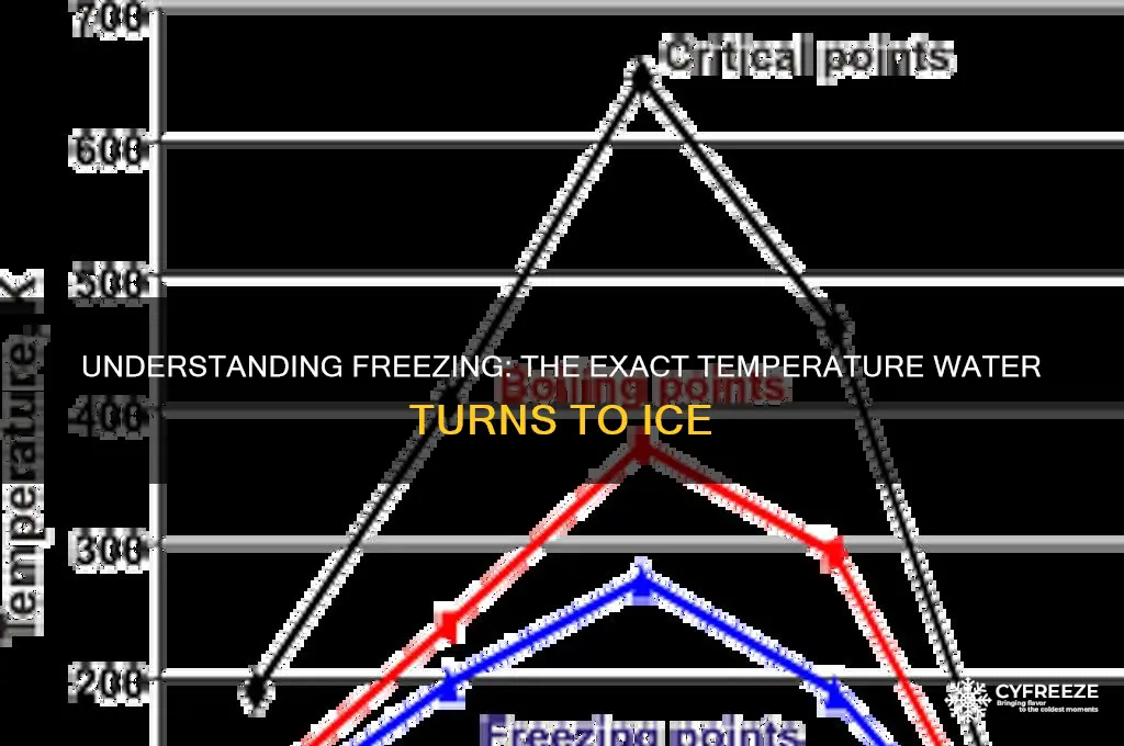 what temperature does it freeze at