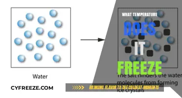 Understanding Freezing Temperatures: When Does Water Turn to Ice?