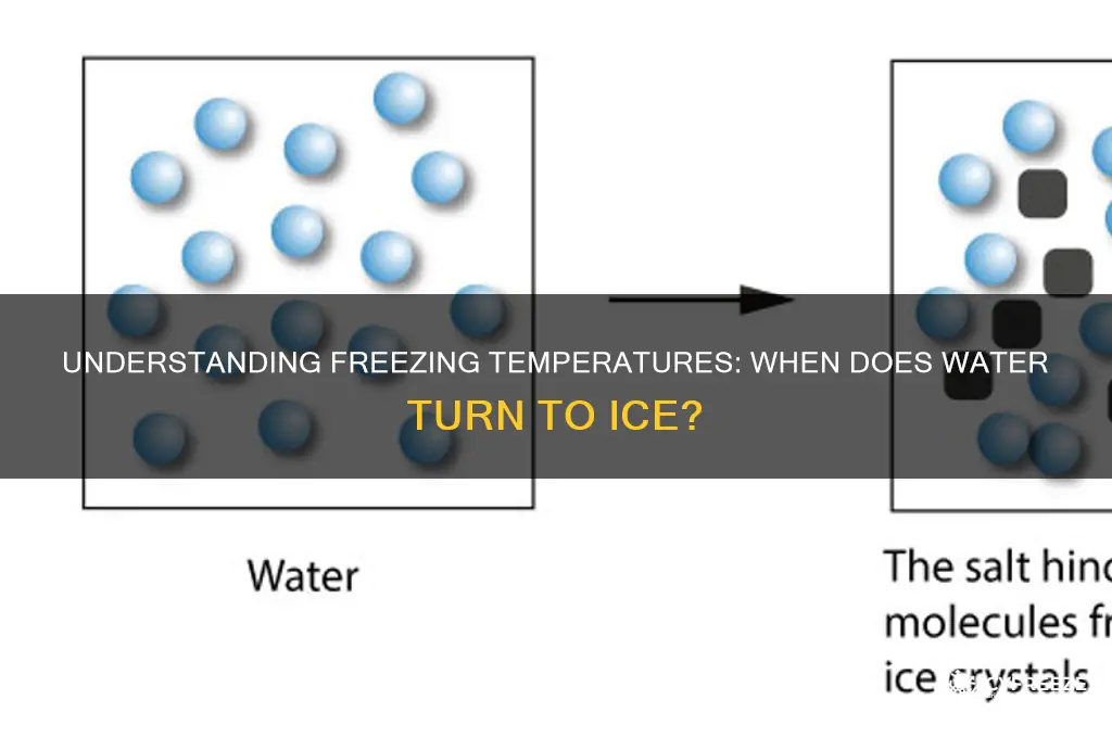 what temperature does it freeze