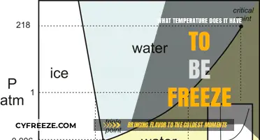 Understanding the Exact Temperature Needed for Water to Freeze