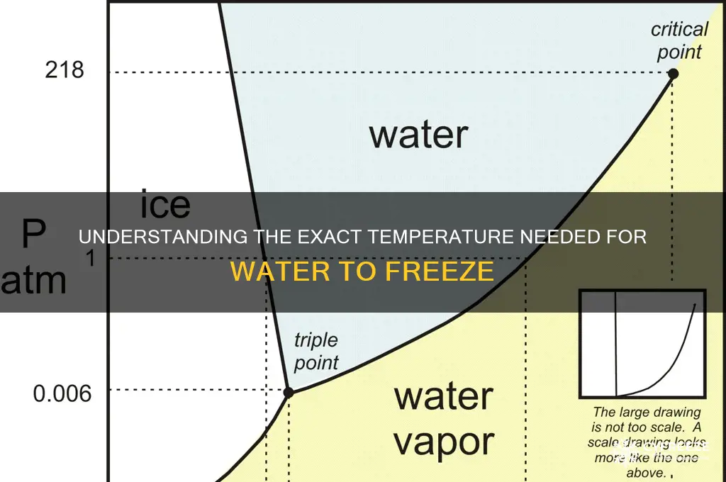 what temperature does it have to be freeze