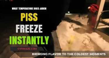 Instant Freeze: Exploring the Temperature Jaden's Piss Turns to Ice