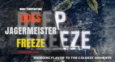 Jagermeister Freezing Point: What Temperature Does It Freeze At?