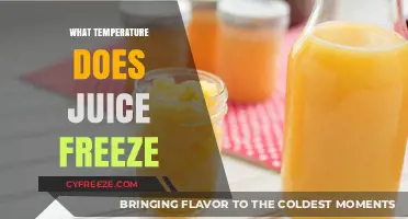 Juice Freezing Point: Understanding the Temperature for Perfect Frozen Drinks