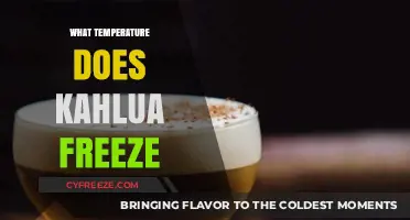 Kahlua Freezing Point: What Temperature Does Kahlua Freeze At?
