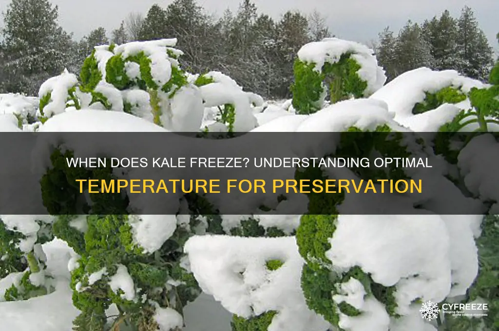 what temperature does kale freeze