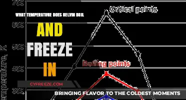 Kelvin's Boiling and Freezing Points: Unveiling the Absolute Scale's Secrets