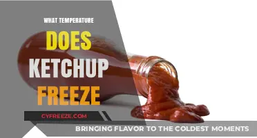 At What Temperature Does Ketchup Freeze? A Complete Guide
