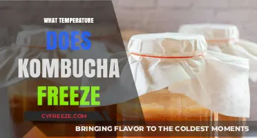 At What Temperature Does Kombucha Freeze? A Guide