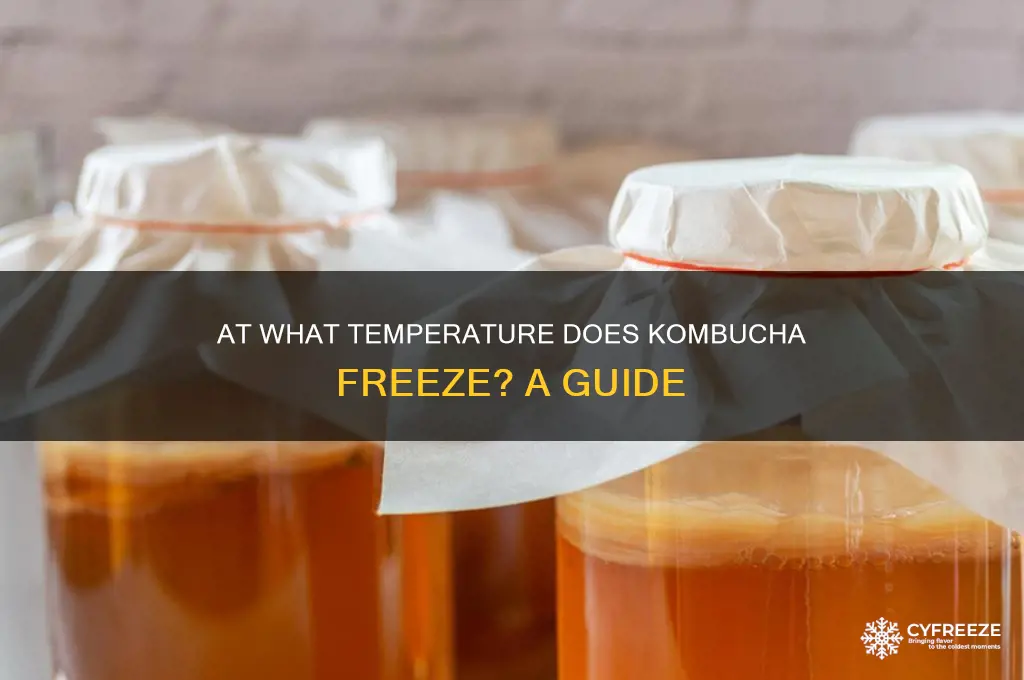 what temperature does kombucha freeze