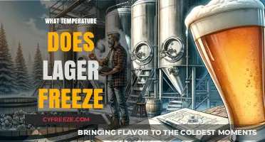 At What Temperature Does Lager Freeze? A Guide for Beer Lovers