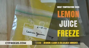 Lemon Juice Freezing Point: Temperature Guide for Perfect Preservation
