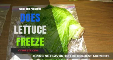At What Temperature Does Lettuce Freeze and How to Prevent It