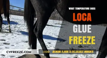 At What Temperature Does LOCA Glue Freeze? A Guide