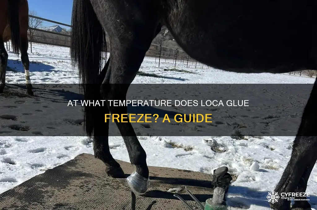 what temperature does loca glue freeze
