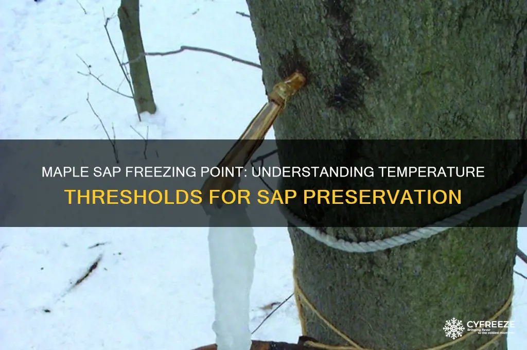 what temperature does maple sap freeze