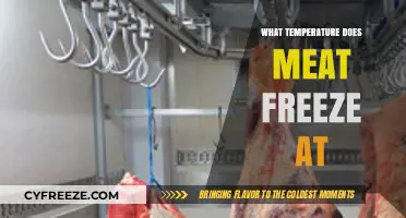 Understanding the Freezing Point of Meat: A Complete Temperature Guide