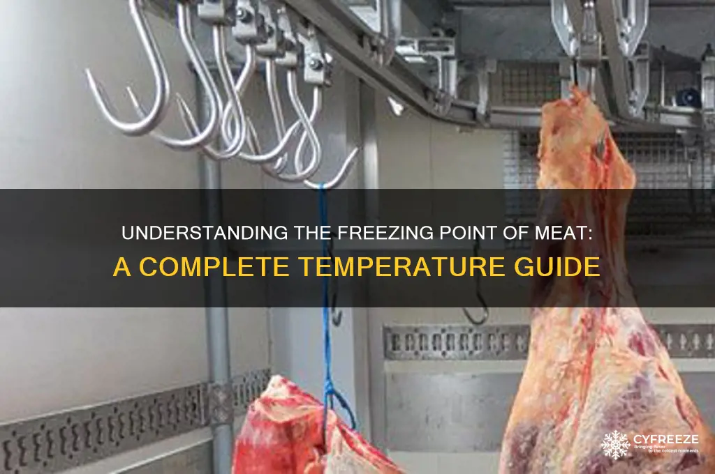 what temperature does meat freeze at