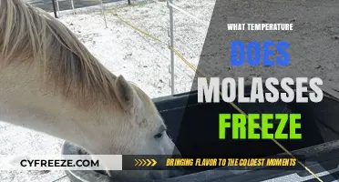 Molasses Freezing Point: Understanding When This Sticky Sweetness Solidifies