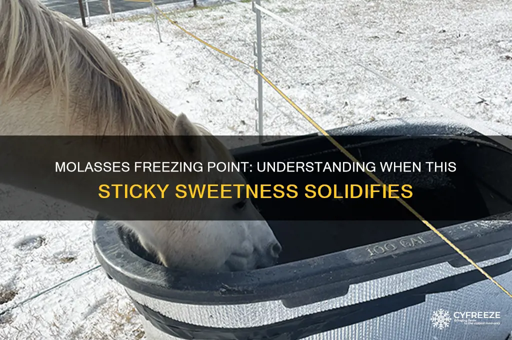 what temperature does molasses freeze