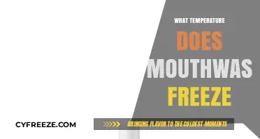 Chilling Mouthwash: At What Temperature Does It Freeze Solid?