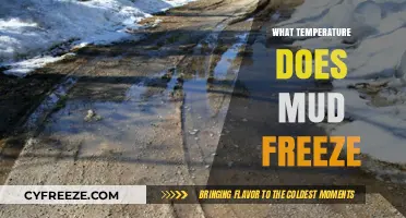 When Does Mud Freeze? Understanding the Temperature Threshold for Muddy Ground