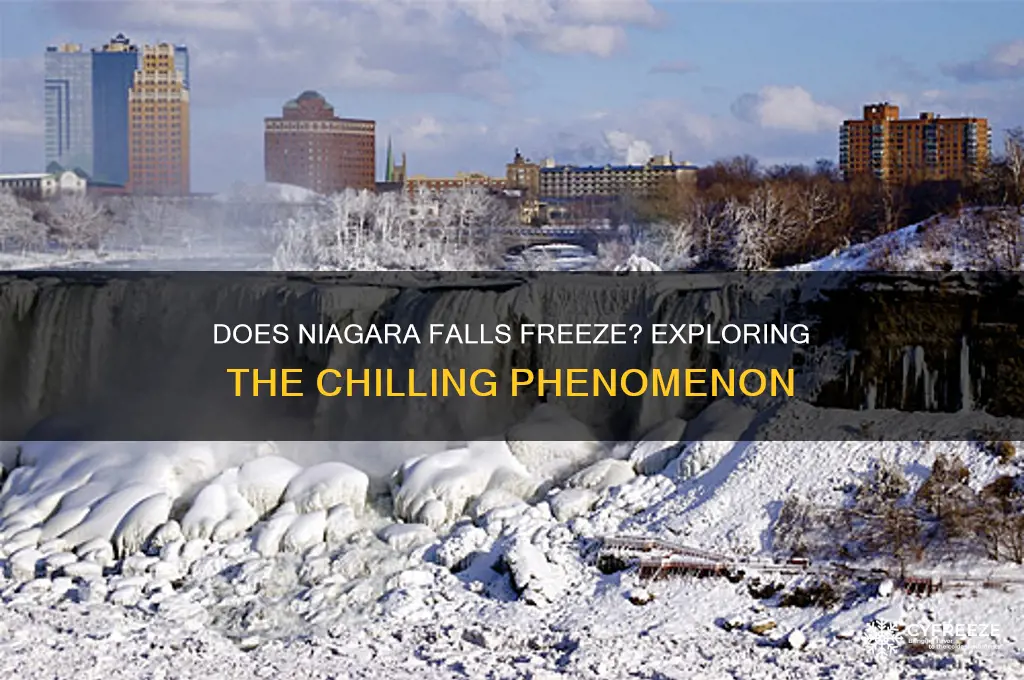 what temperature does niagara falls freeze