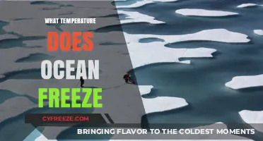 Ocean Freezing Point: Understanding When and How Seawater Turns to Ice