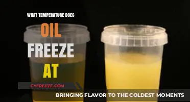 Understanding Oil Freezing: What Temperature Does Oil Freeze At?